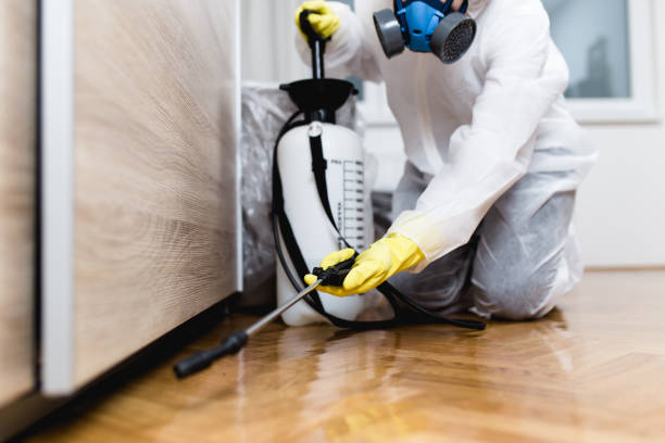 Best Affordable Pest Control Services  in Leesville, LA