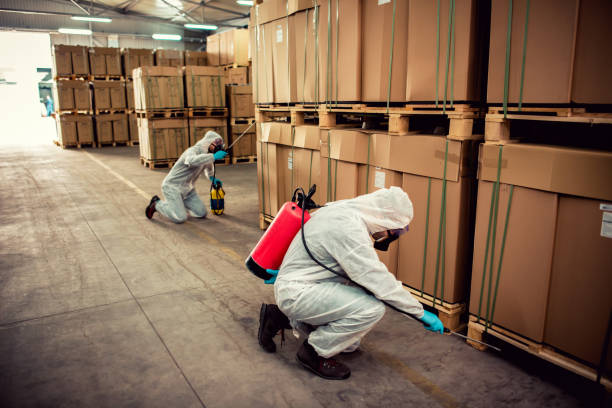 Best Best Pest Control Companies  in Leesville, LA