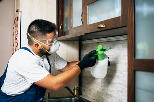 Best Exterminator Services  in Leesville, LA