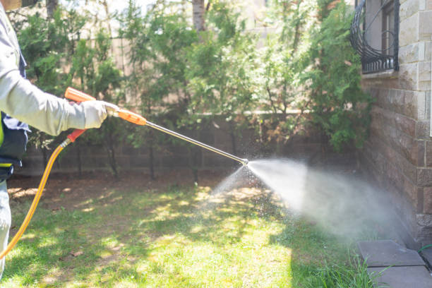 Trusted Leesville, LA Pest Control Experts
