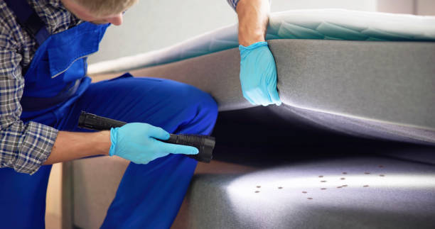 Best Pest Control Near Me in Leesville, LA