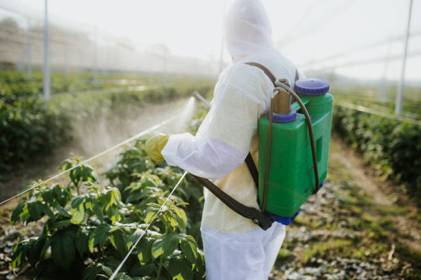 Insect Control in Leesville, LA